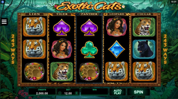 Exotic Cats Screenshot