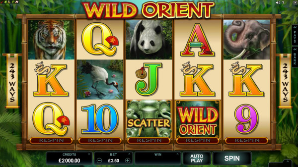 Wild Orient Screenshot