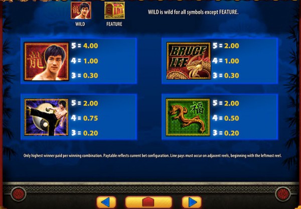 Bruce Lee paytable