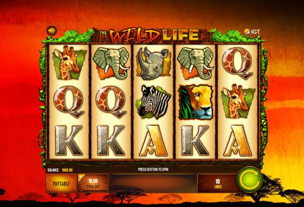 The Wild Life Screenshot